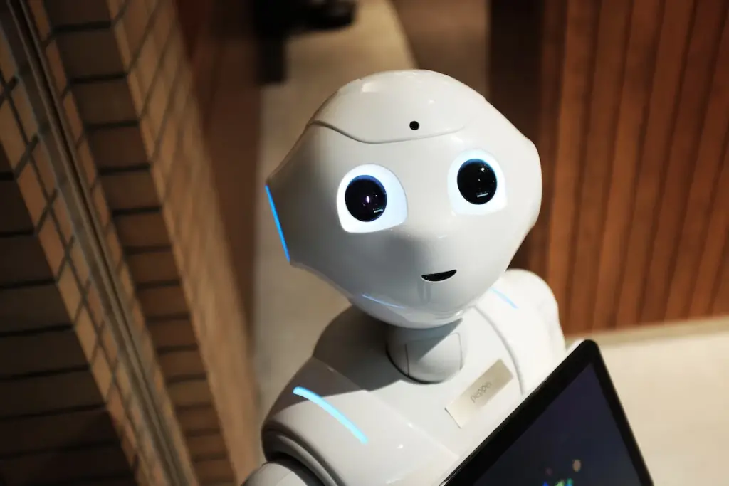 AI as a robot
