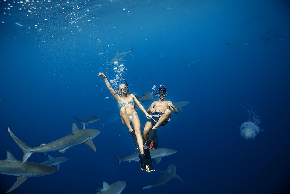 an image of a person swimming with sharks in the ocean