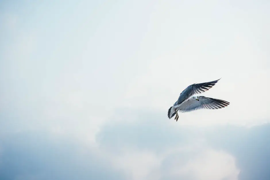 A calm and peaceful image of a white bird flying in the sky